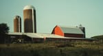 Tariff Troubles: What’s at Stake for Wisconsin Farmers?